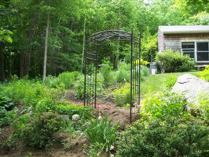 arbor for clematis