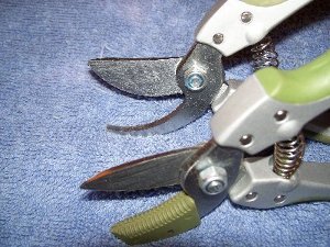 pruning shears