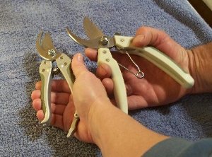 pruning shears